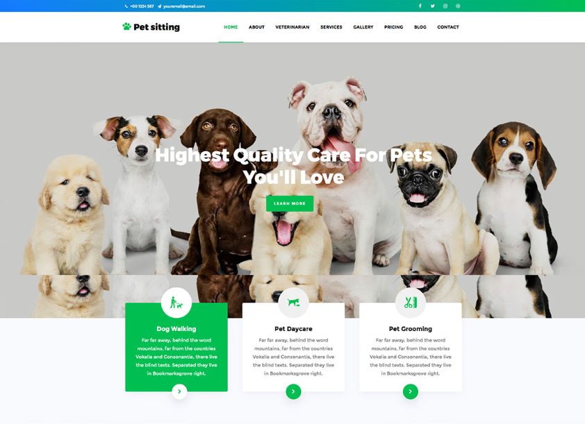 Pet care website design